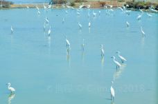 帕别岛-甲米-C-IMAGE