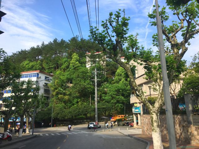 첸다오 호수 자전거 일주