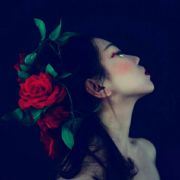 好贾不吃回头草