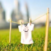 成功我想看看你