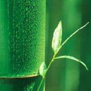 起个啥名字最好听