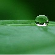 荣荣荣荣荣荣荣