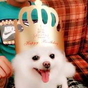 小情绪爱上大折腾