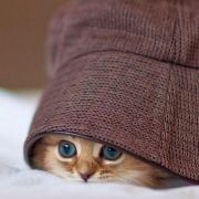 我是你的幸福宝贝