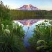 麦克斯韦的猫猫