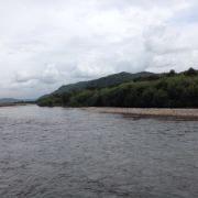 麦田里的一些事