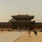 真的不知道也有人抢