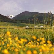 俊艺不能丧丧丧丧了