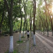 还在相信爱情吗