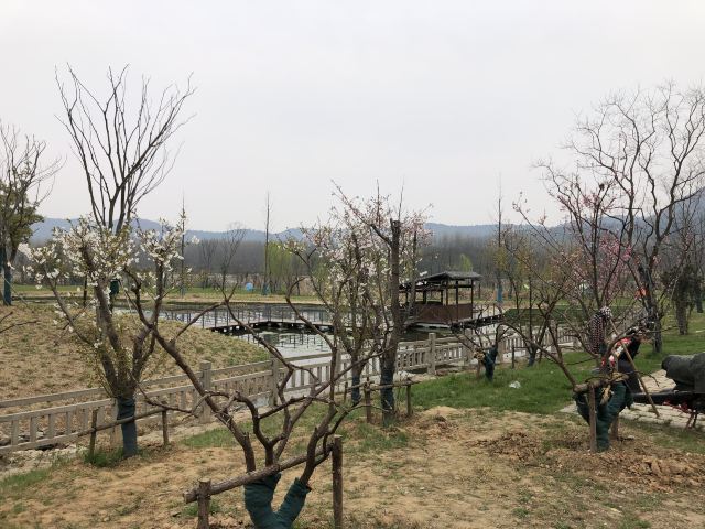 佘村明清代建筑群旅行图片 6