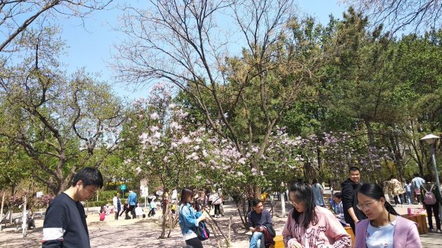长青公园旅行图片 7