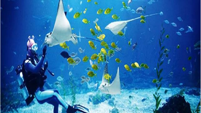 福建天柱山欢乐大世界