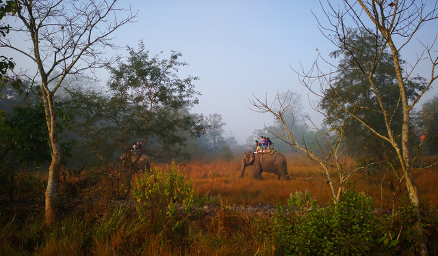 【眼镜散记】秘境尼泊尔——穿越奇特旺丛林