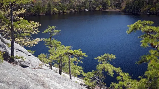 Ell Pond