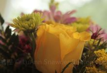 Chuck's Floral Co.购物图片