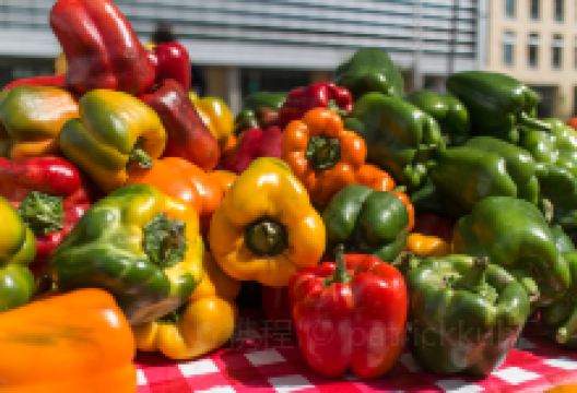 Montauk Farmer's Market购物图片