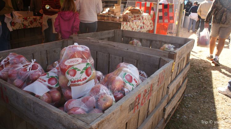 Georgia Apple Festival Tickets Deals Reviews Family Holidays