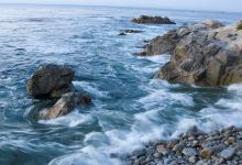 Sculptures by the Sea景点图片