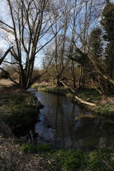 Cole Park-科珀斯克里斯蒂