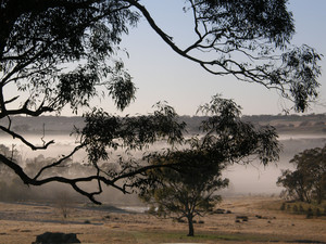 阳城游记图文-图片直播澳大利亚乡村内陆希托普斯（Hilltops）秋晨的水墨仙境