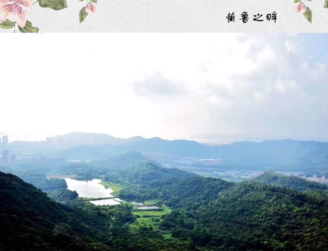 南沙