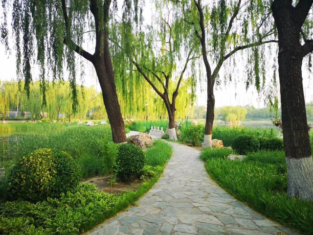 龙潭西湖公园旅行图片 4