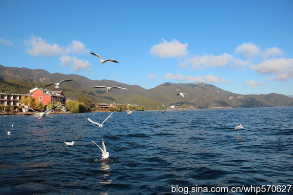 2014年泸沽湖自驾旅游(六)泸沽湖，尼赛村