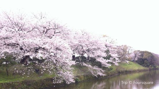 Korokanatotenjikan