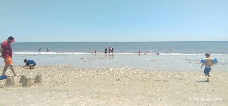Edisto Beach State Park Travel Guidebook Must Visit Attractions