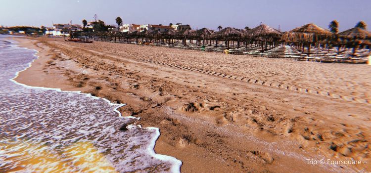 Spiaggia Di San Lorenzo Tickets Deals Reviews Family