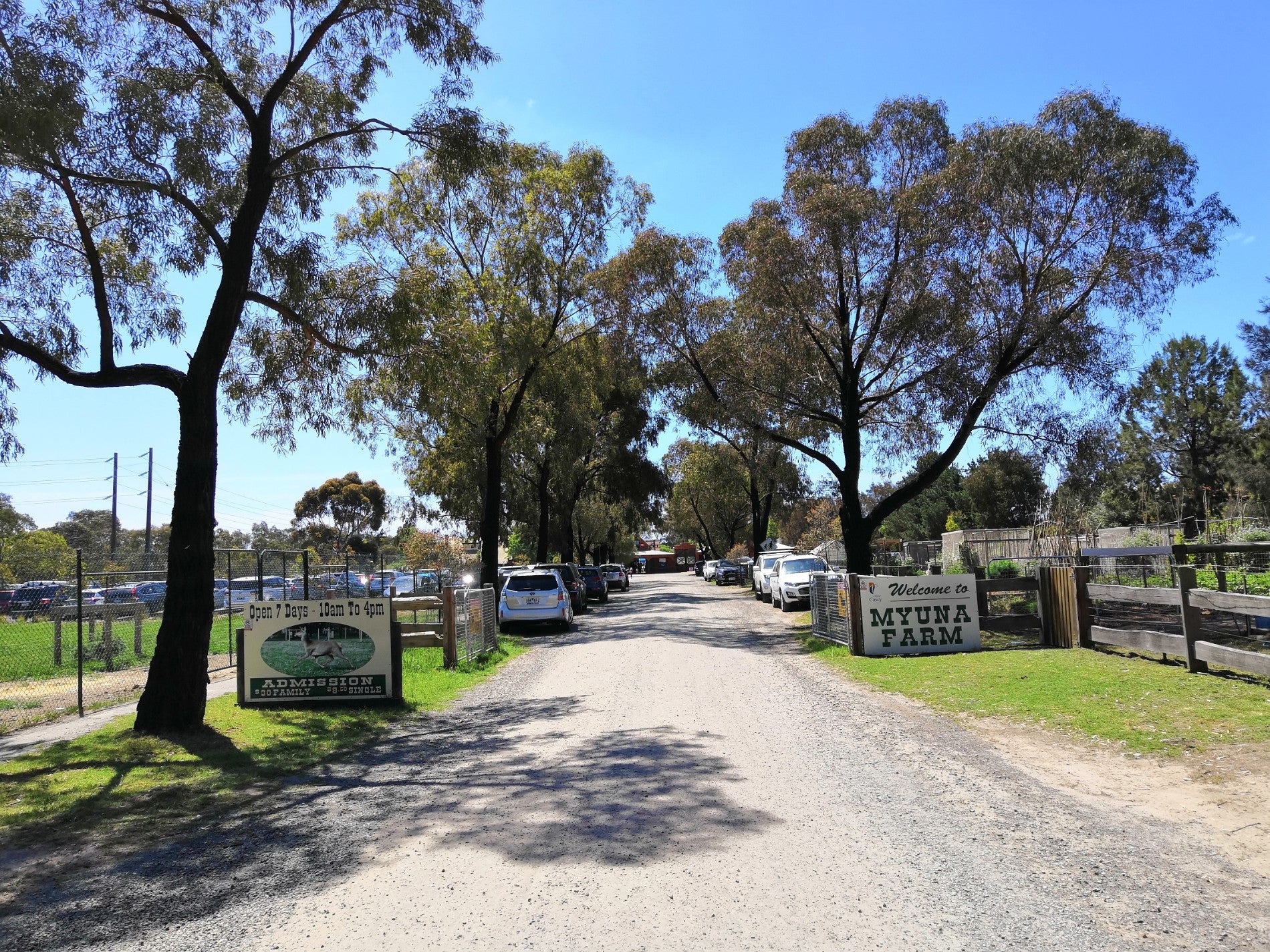 Top 133 Attractions Recommended In Mornington Traditional