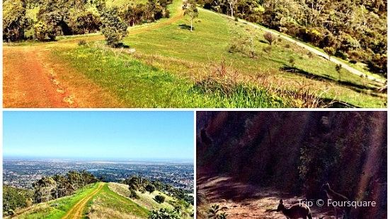 Black Hill Conservation Park