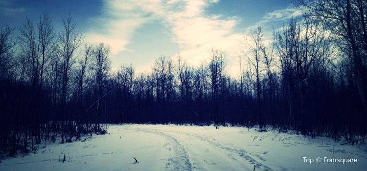 Golf La Prairie >> Golf La Prairie Travel Guidebook Must Visit Attractions In Golf La Prairie >> Golf La Prairie Travel Guidebook Must Visit Attractions In