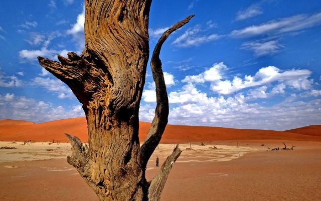 Namib-Naukluft National Park