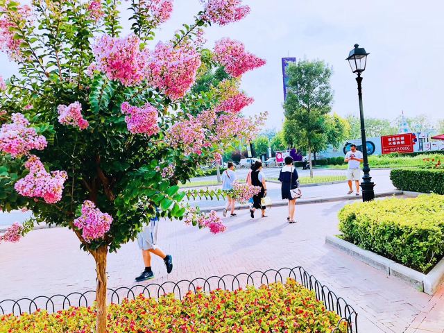 文秀湖公园旅行图片 2