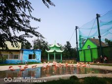 秦皇岛野生动物园-秦皇岛-YoYo_7H9X4A2N