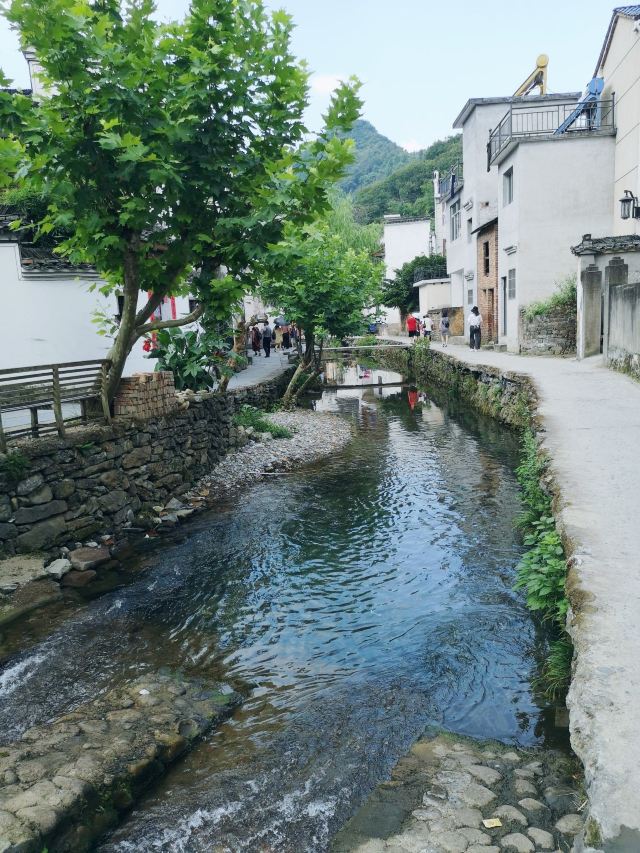 芹川村
