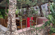 蒙山农家院正宗炒鸡店餐厅图片