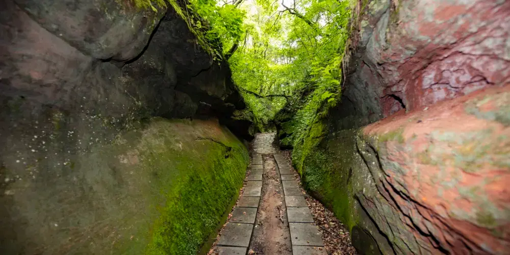 永安旅遊