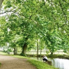Botanischer Garten Rombergpark Travel Guidebook Must Visit
