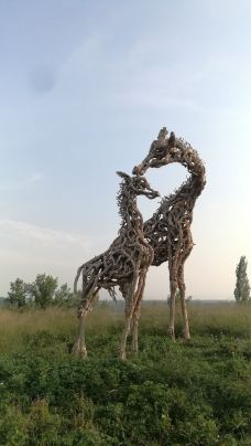 北京世园公园-植物馆-北京-勇猛十温柔