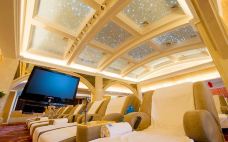 溱湖国家湿地公园-泰州-242278435