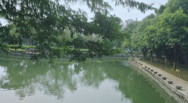 北滘公园旅行图片 2