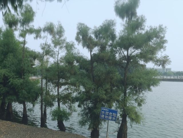 北滘公园旅行图片 4