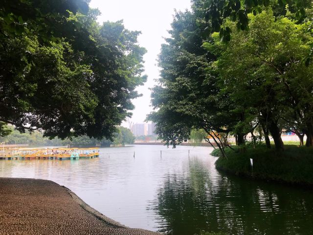 北滘公园旅行图片 9