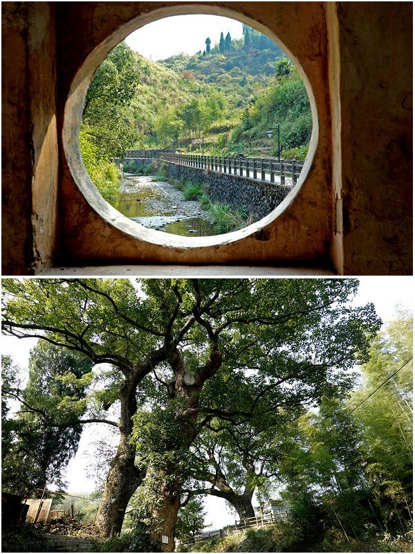 芹川村
