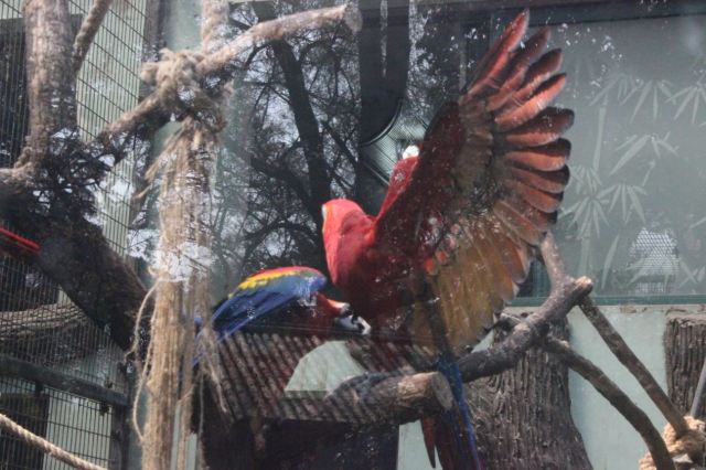 Shanghai Wild Animal Park