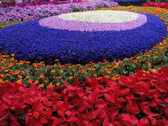花之城