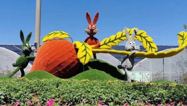 郭兴庄园旅行图片 3