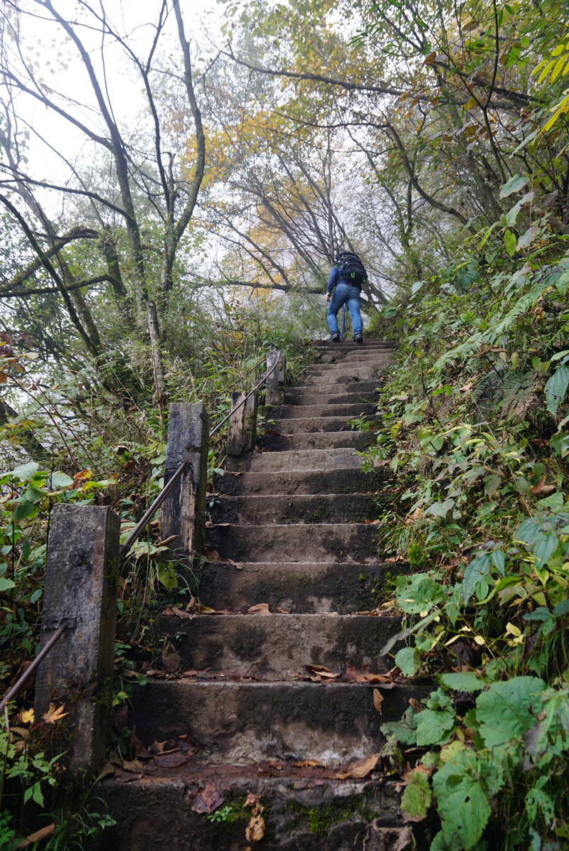 彭州九峰山登顶要多久 10081900000177w5w462F_R_800_10000_Q90.jpg?proc=autoorient